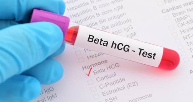 Bhcg (Beta-HCG) Nedir, Beta HCG’nin Görevi Nedir, Hangi Durumlarda Yükselir?